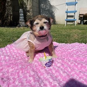 Meet your Posher, Danielle